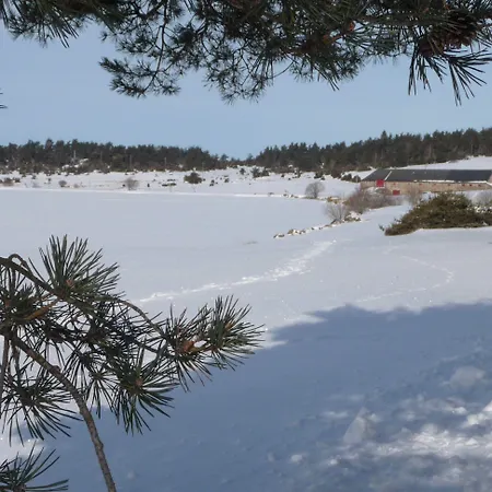 Instants D'absolu & Chavagnac (Cantal)