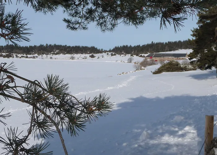 Instants D'absolu & Chavagnac (Cantal)